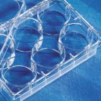 康宁超低吸附6孔培养板，独立包装，无菌3471