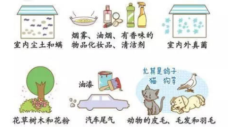 哮喘病因与日常预防护理指南