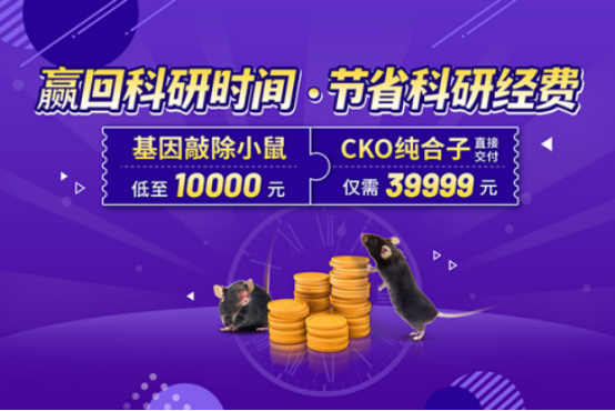 小鼠资源库助您赢回科研时间