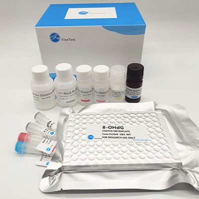 小鼠髓过氧化物酶(MPO)ELISA试剂盒丨Mouse MPO ELISA KIT