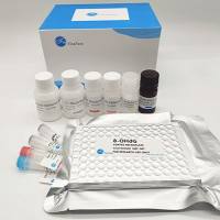 人白细胞介素1β(IL-1β)ELISA试剂盒丨Human IL-1β ELISA KIT