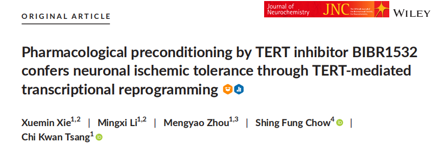 TERT参与局部缺血耐受，CUT&Tag助力脑损伤保护机制研究