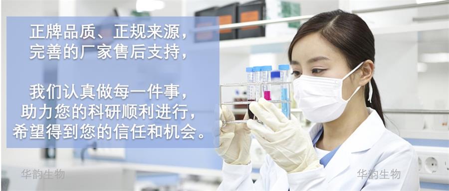 Recombinant Rat GRO gamma重组蛋白，