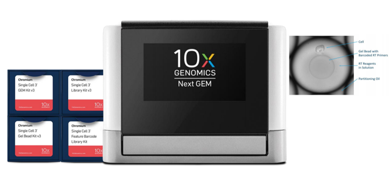 666方案，收样时一步解决文章框架，两招轻松发文10分+