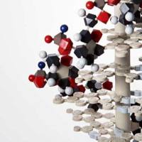 CAS:1572414-83-5、98% by TLC、NMR (Conforms)、ML323