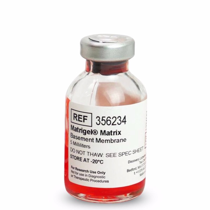 BD Matrigel 基质胶 356234
