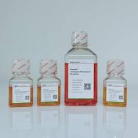 肺类器官分化试剂盒