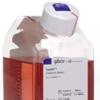 Expi293™ 表达培养基