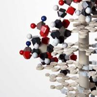 CAS：60857-08-1、99% by HPLC、NMR、前列腺素
