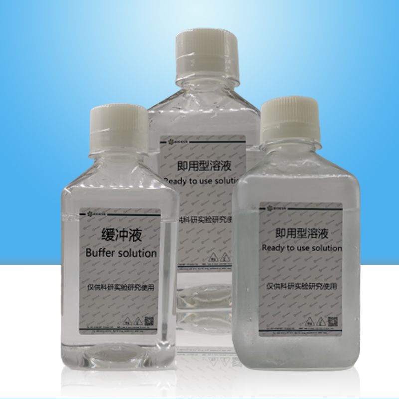 磷酸盐缓冲液（含SDS，pH6.8）