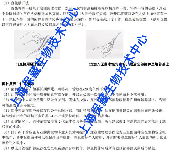 产氨棒杆菌,Corynebacterium ammoniag