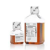 HyClone优级胎牛血清 (FBS)，源自新西兰