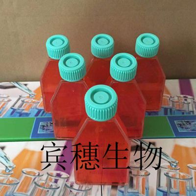 UM-SCP-1 Cells;UM-SCP-1扩增细胞系(STR鉴定基因图谱)价格_品牌:宾穗