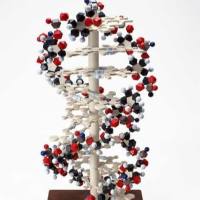 CAS：10083-24-6、98% by TLC、NMR、白皮杉醇