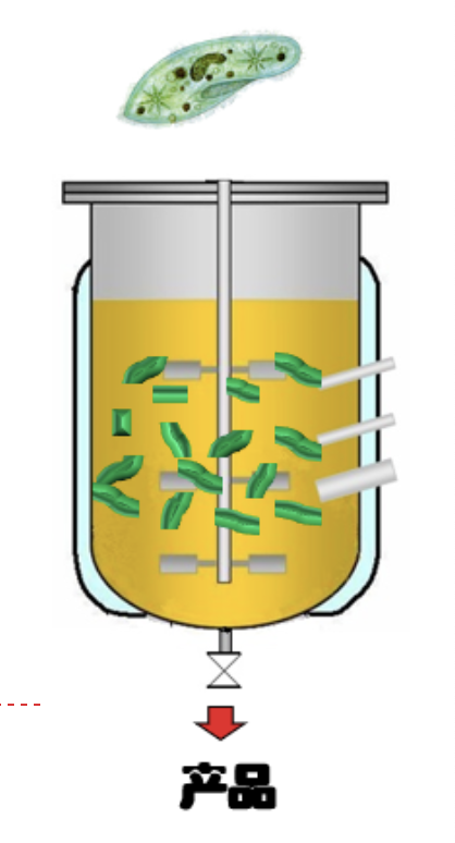 贝克曼库尔特-微生物反应器可以进行细胞裂解、应激及毒性筛选的测定吗？