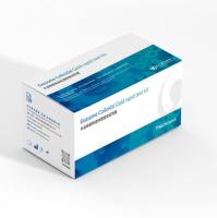 外泌体标志物 CD63 检测试剂盒（胶体金法）