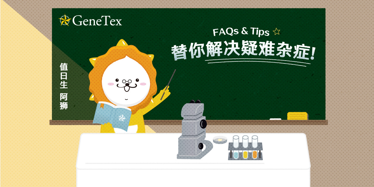 【FAQs & Tips】实验技巧及问题排除 让小星狮解决你的疑难杂症!