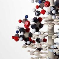 CAS:86639-52-3、98% by TLC、NMR、SN-38