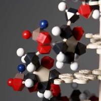 CAS：53179-13-8、98% by TLC、NMR、吡非尼酮