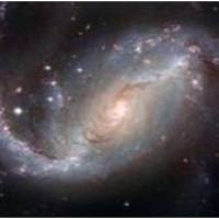 代谢组学检测以及分析服务