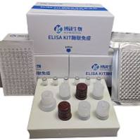 BYabscience 大鼠糖类抗原15-3(CA15-3)ELISA试剂盒