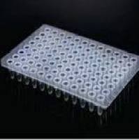 0.1ml 96孔PCR板，无裙边，白色