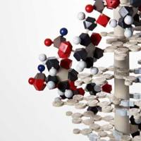 CAS:2068-78-2、98% by HPLC、NMR、硫酸长春新碱