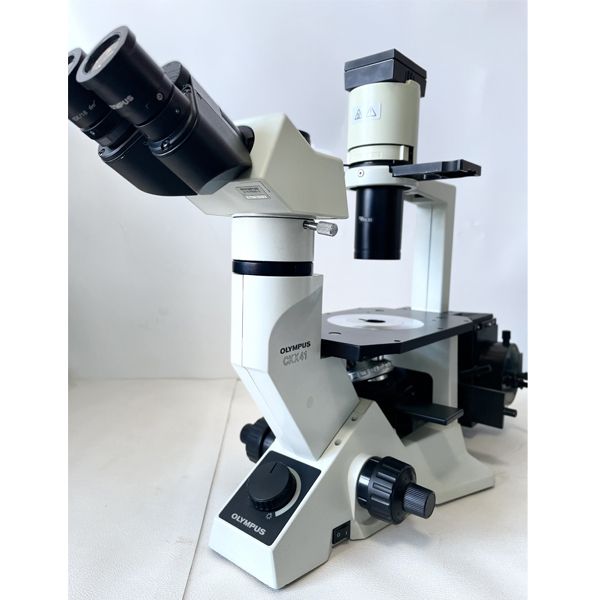 二手奥林巴斯ckx41倒置荧光相差显微镜，带质保，可上门挑选