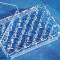 96孔低吸附细胞培养板，康宁3474