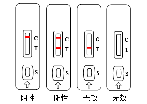 检测卡（胶体金法）