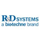 R&D systems MAB6744 mErbB2 MAb (Cl 66652 (100 ug)