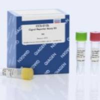 凯杰优秀代理商QIAGEN 336841 Cignal Reporter Assay Kit