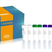 Hieff NGS MaxUp核糖体RNA去除试剂盒