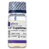 B-27添加剂 (50X)，去除维生素A