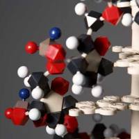 CAS:2301866-59-9、98% by HPLC、NMR、DO264