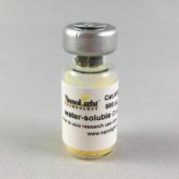 Coelenterazine H 腔肠素