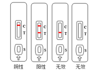 犬弓形虫病毒抗体检测卡（胶体金法）