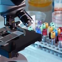 CAS:396721-89-4、>98% by HPLC、NMR、KL101