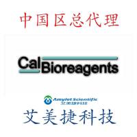 St. Louis Encephalitis NS1, Mouse Monoclonal/St. Louis Encephalitis NS1, Mouse Monoclonal