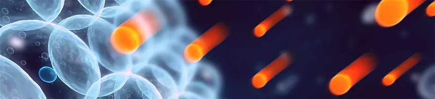 细胞生物学——氧化应激