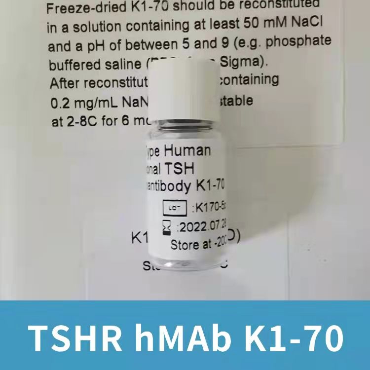 促甲状腺激素受体人单克隆抗体 K1-70