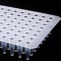 0.1ml96孔PCR板,半裙边