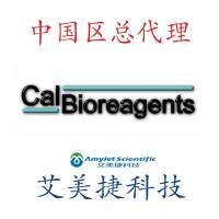 Recombinant Influenza B Protein/Recombinant Influenza B Protein