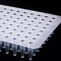 0.2mL96孔 PCR板非裙无色透明