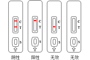 盐酸克伦特罗检测卡(胶体金法)