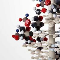 CAS：824983-91-7、>98% TLC、NMR、LNT 1