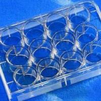 Transwell嵌套，含12孔板 (带聚碳酸脂膜12mm3.0um)，Corning 3402 