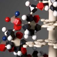 CAS：1208315-24-5、98% by HPLC、NMR、N 6022