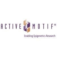 果蝇阴性对照引物组3 Drosophila Negative Control Primer Set