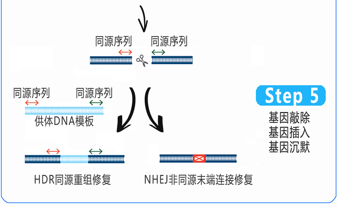 产品细节图片4